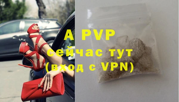 PSILOCYBIN Беломорск