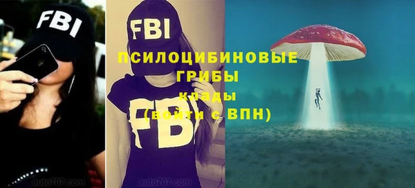 ALPHA PVP Богородицк