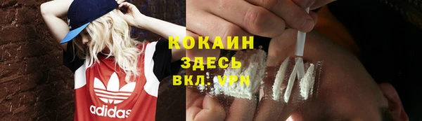 прущие крисы Белокуриха