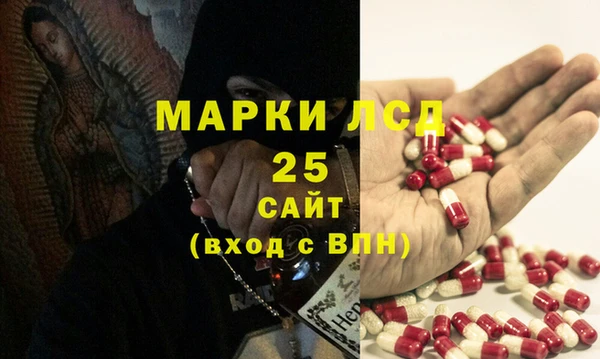 PSILOCYBIN Беломорск