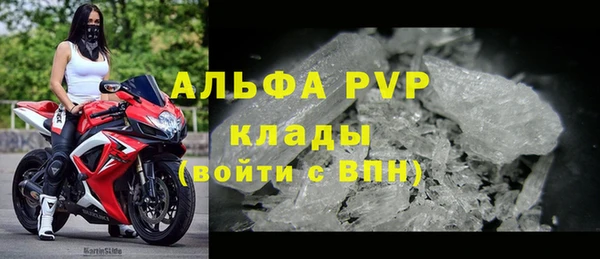 PSILOCYBIN Беломорск