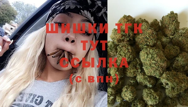 ALPHA PVP Богородицк