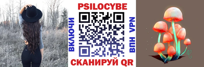 OMG tor Казань Галлюциногенные грибы Psilocybe